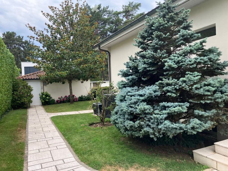 Well-maintained garden with a paved pathway, green lawn, and several trees, including a prominent conifer and flowering shrubs. The house is visible in the background with a white door and a small annex building.