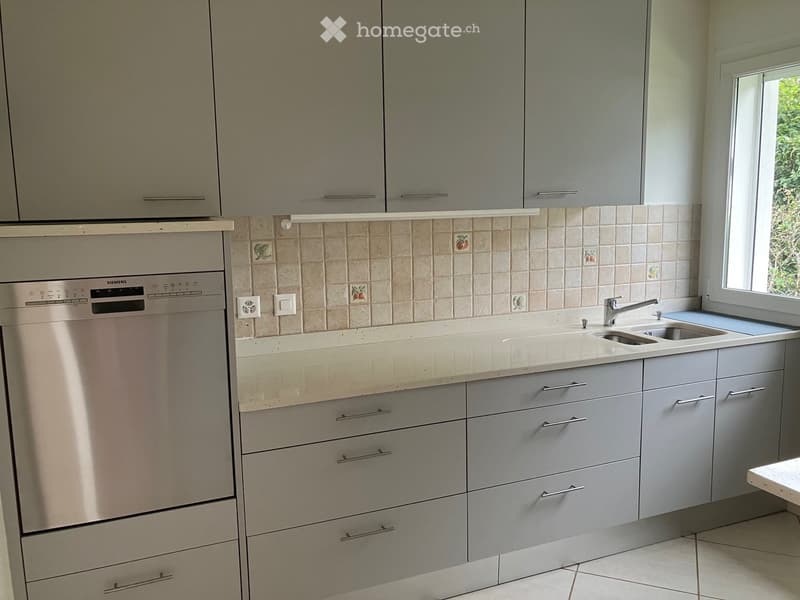 Modern kitchen with grey cabinets, a stainless steel dishwasher, a sink with a faucet, and a tiled backsplash.