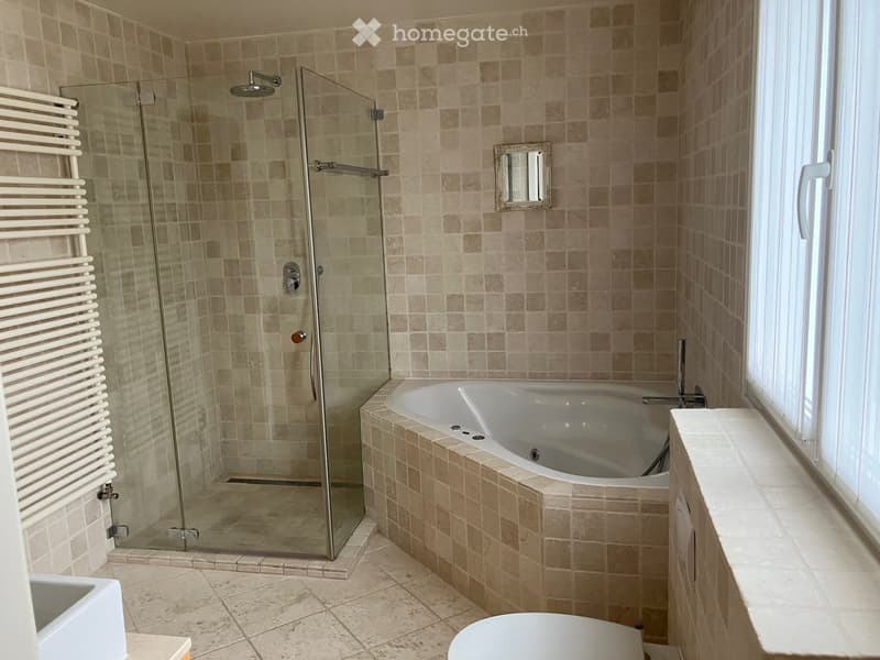 Modern bathroom with a bathtub, shower, toilet, radiator, and a small mirror above the bathtub.
