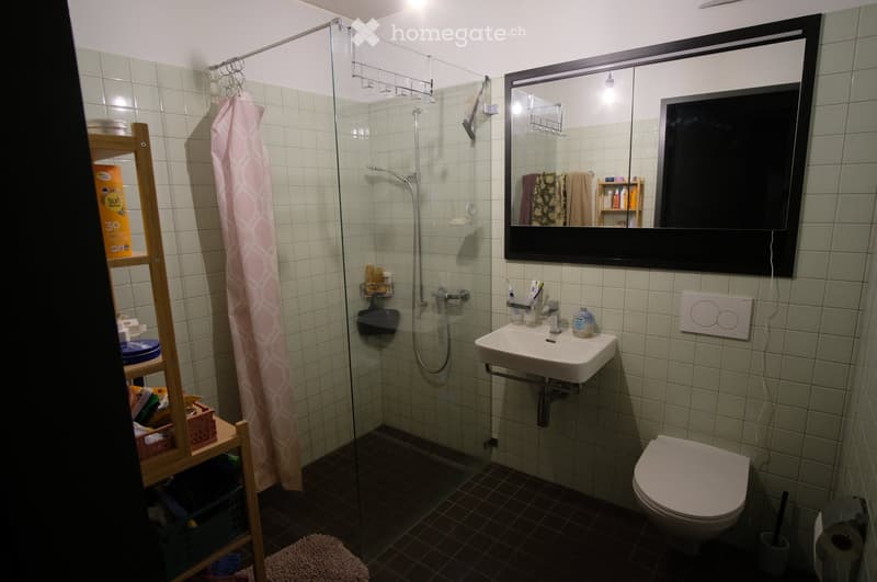 Modern bathroom with a glass-enclosed shower, a white sink, a toilet, a large mirror, and a wooden shelf holding various items.