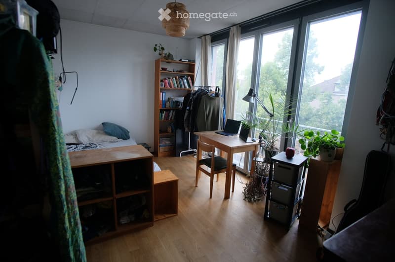 A well-lit bedroom with a bed, desk, bookshelf, and large windows. The room features a wooden floor, a hanging woven lamp, and several potted plants.