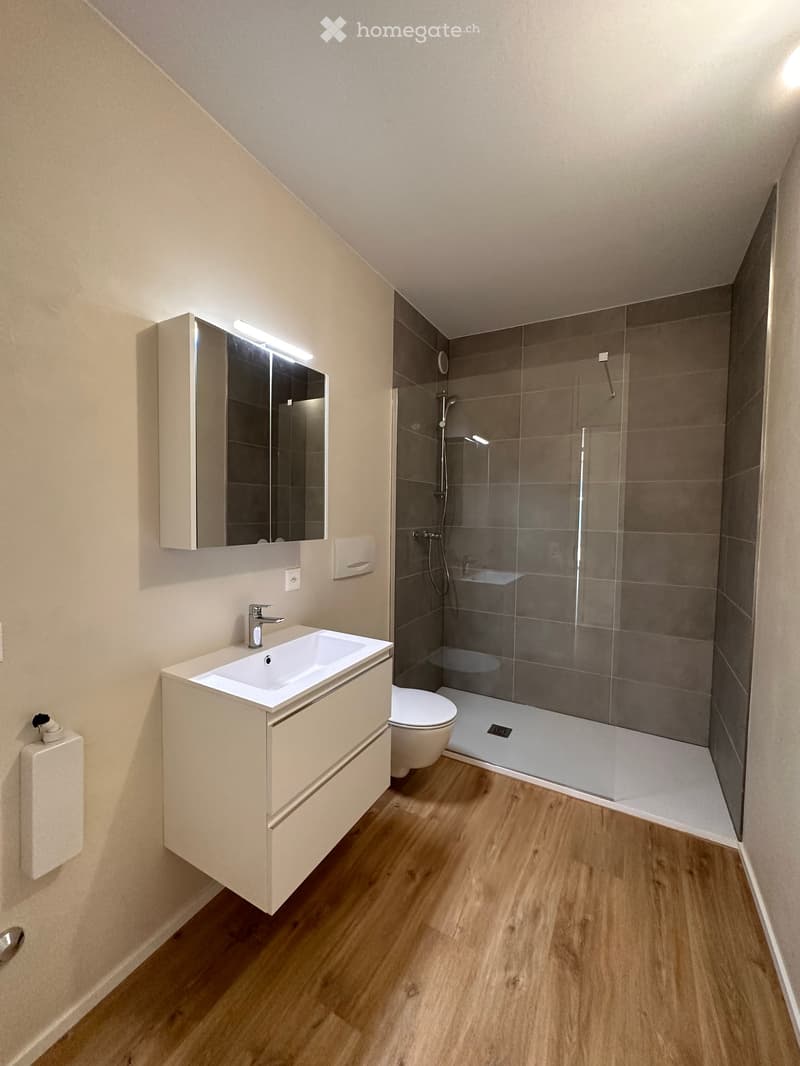 Modern bathroom with a white sink, mirror, toilet, and a glass-enclosed shower area with grey tiles.