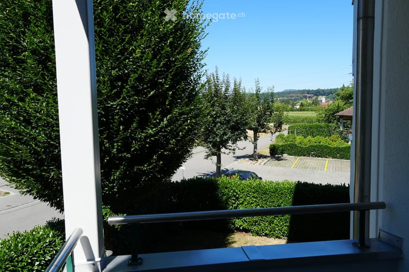Balcony with metal railing overlooking a residential area with trees, a parked car, and distant buildings.