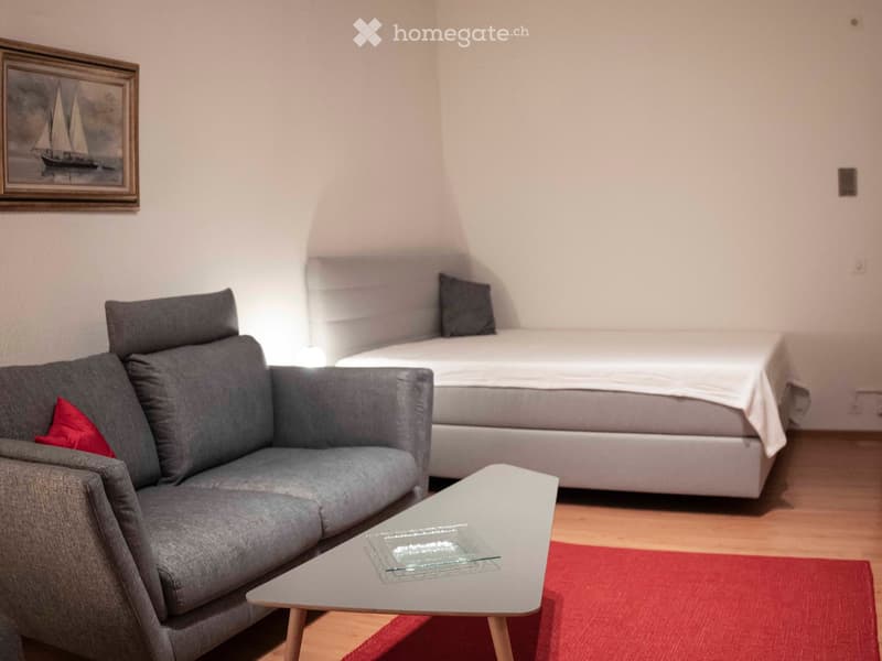 A modern, well-lit room with a grey sofa, a white coffee table, a bed with white linens, and a red accent rug.