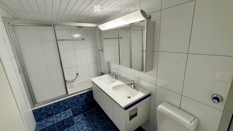 a bathroom with a bathtub, two sinks, a toilet, a mirror and a shower