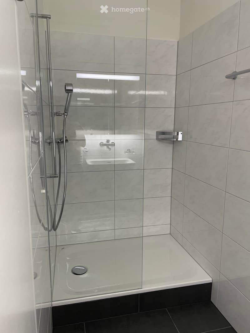 Modern bathroom with a glass-enclosed shower stall, sleek chrome fixtures, and grey marble tiles.