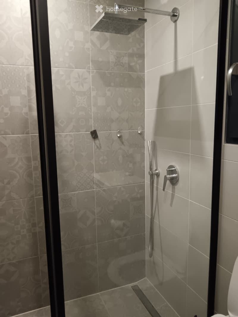 Modern shower area with grey tiles, a glass enclosure, and a handheld showerhead.