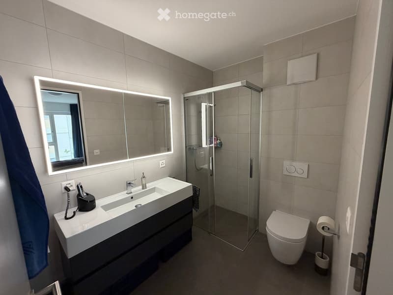 Modern bathroom with a large mirror, double sink, toilet, and glass-enclosed shower. Features include a towel, toilet paper, and a soap dispenser on the sink.