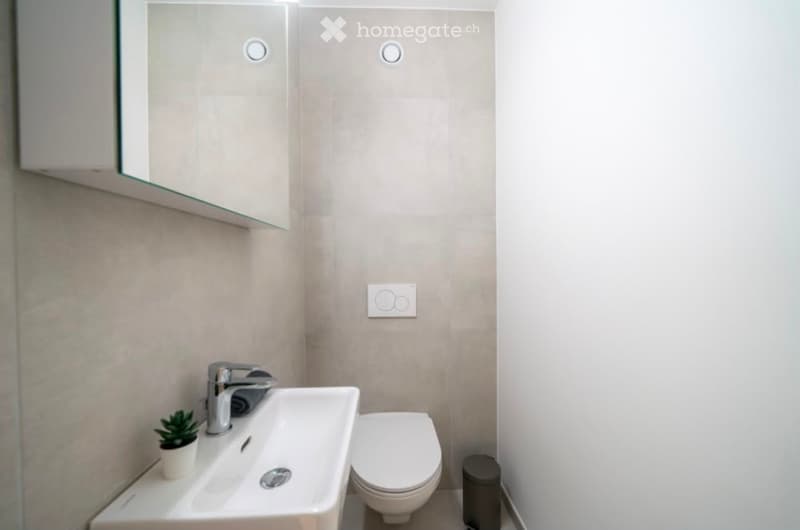 Modern bathroom with a white sink, chrome faucet, toilet, and a small potted plant on the sink counter. A mirrored cabinet is mounted on the wall above the sink.