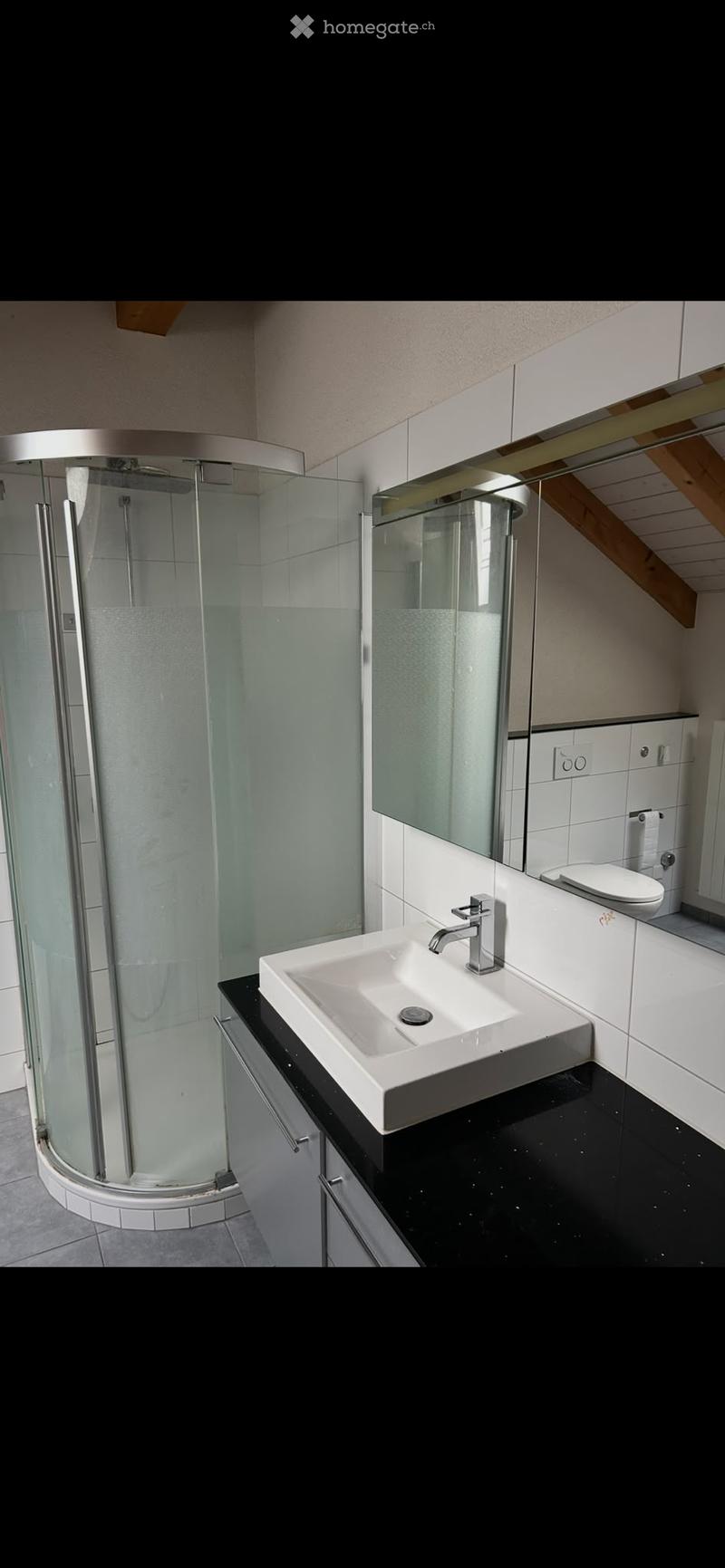 Modern bathroom with a white sink, chrome faucet, toilet, and a glass-enclosed shower. Black countertop and tiled walls.