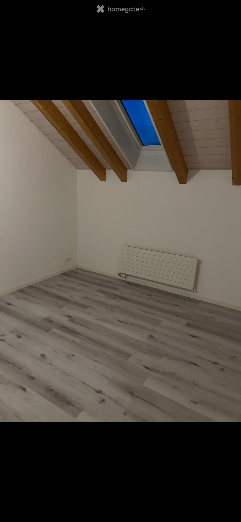Empty attic room with wooden flooring, white walls, and a skylight window. A radiator is mounted on one wall.