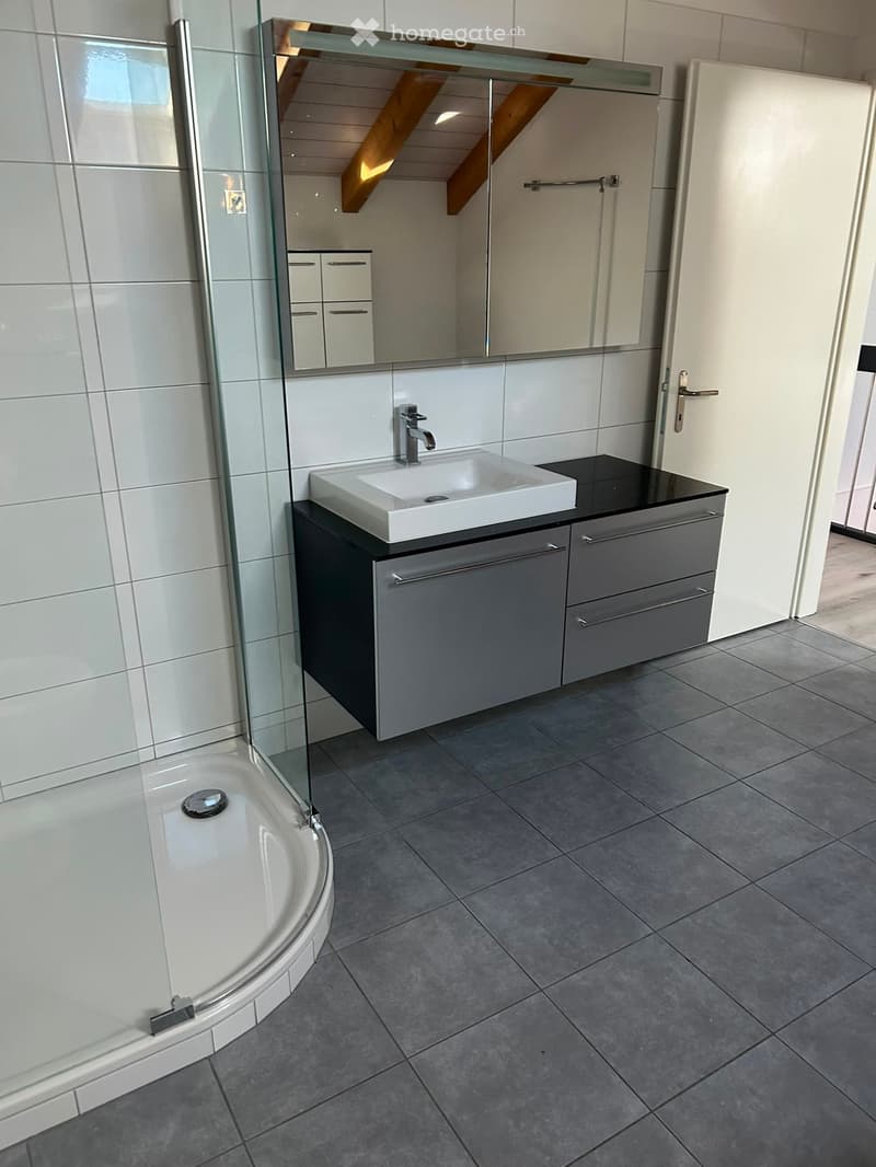 Modern bathroom with a white sink, chrome faucet, grey cabinet, large mirror, and a glass-enclosed bath.