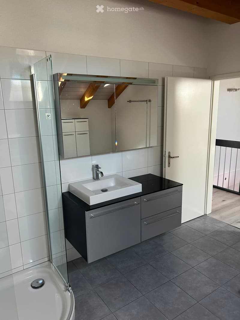 Modern bathroom with a white sink, grey cabinet, large mirror, and a glass-enclosed bathtub.