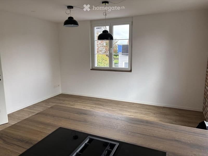 Empty room with light-colored walls, wooden flooring, and large windows. Two black pendant lights are visible, and a black rug is placed on the floor.