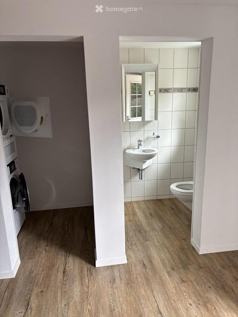 Bathroom with white tiled walls, wooden flooring, sink, toilet, mirror, and a washing machine in the adjacent area.