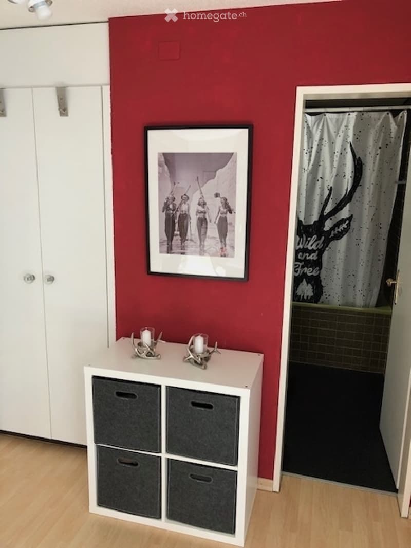 Red wall, white cabinets, gray shelves with drawers, a framed picture on the wall, black mat on the floor.