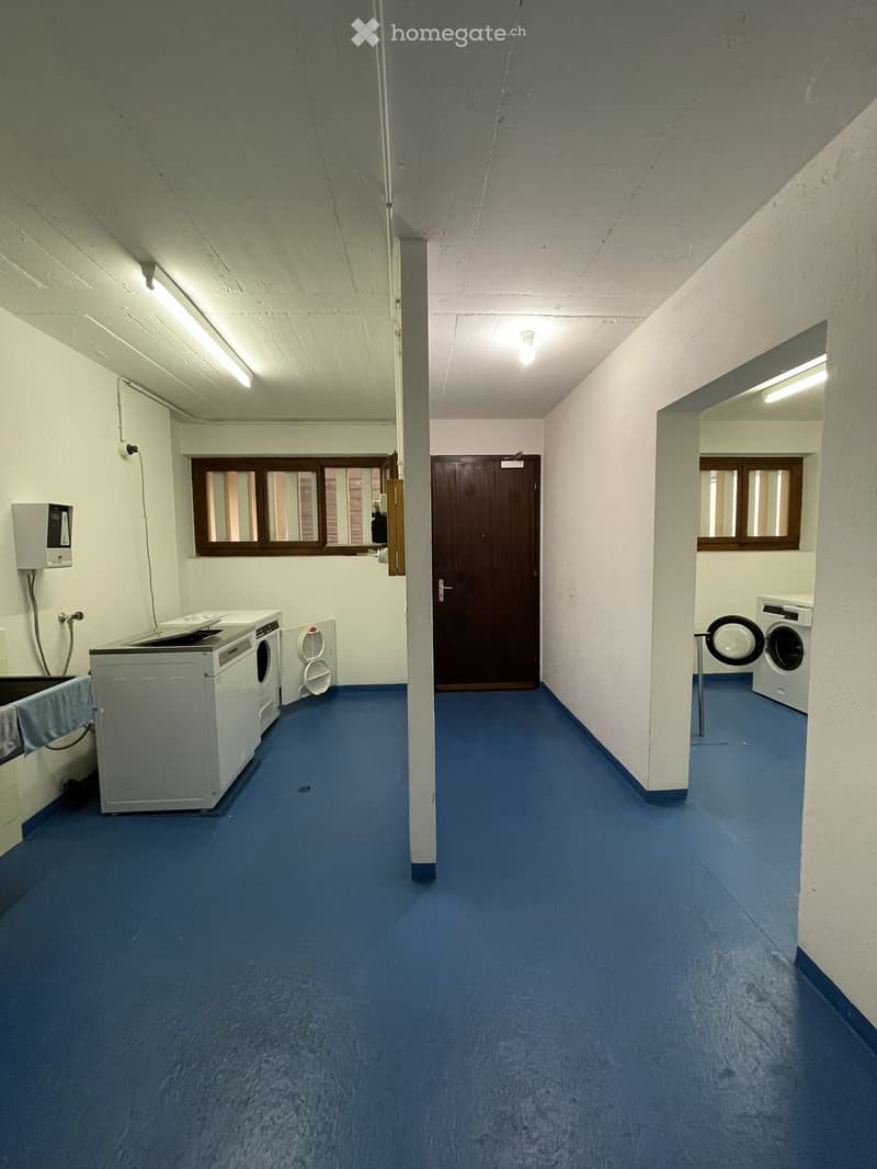 A narrow hallway with blue carpeted flooring, white walls, and two washing machines placed on either side. There is a door at the end of the hallway and windows on the left side.
