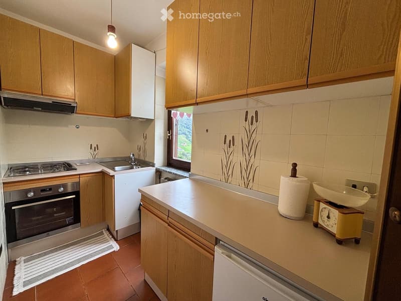 A compact kitchen with wooden cabinets, a stove, oven, sink, and a window offering a view of greenery.