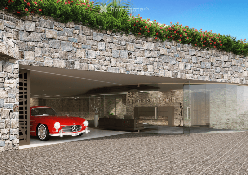 garage with stone wall, red car parked, glass entrance, brick floor, green plant on top of wall