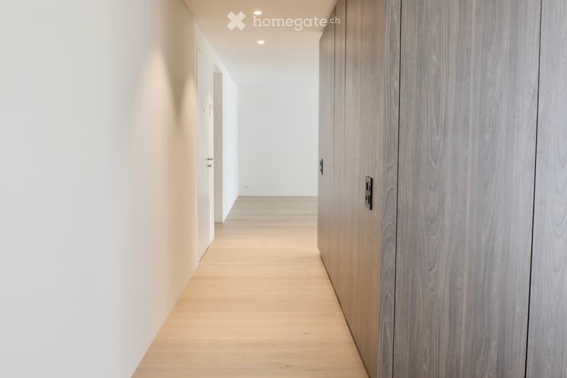 Modern hallway with light wooden flooring, white walls, and built-in wooden storage units on one side.
