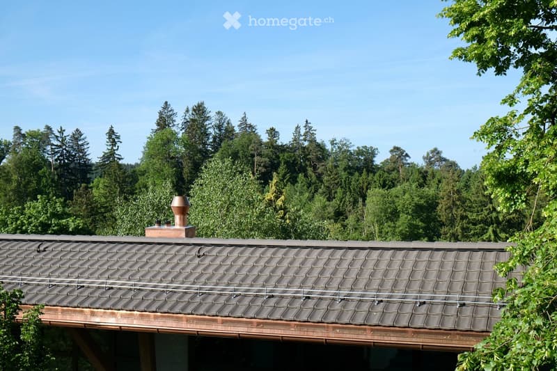 Roof with grey tiles, chimney, and metal railings, surrounded by lush green trees.
