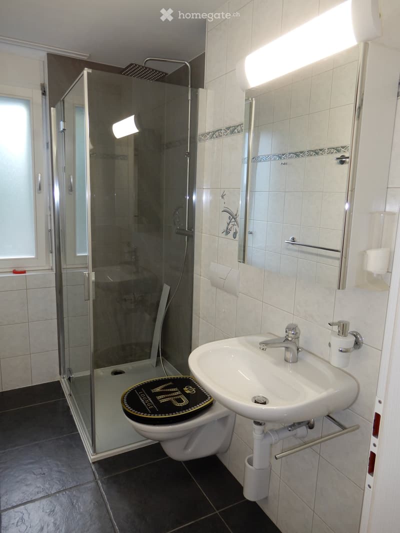 Modern bathroom with white tiles, a glass-enclosed shower, a white sink with a chrome faucet, a toilet with a decorative seat cover, and a mirror above the sink.