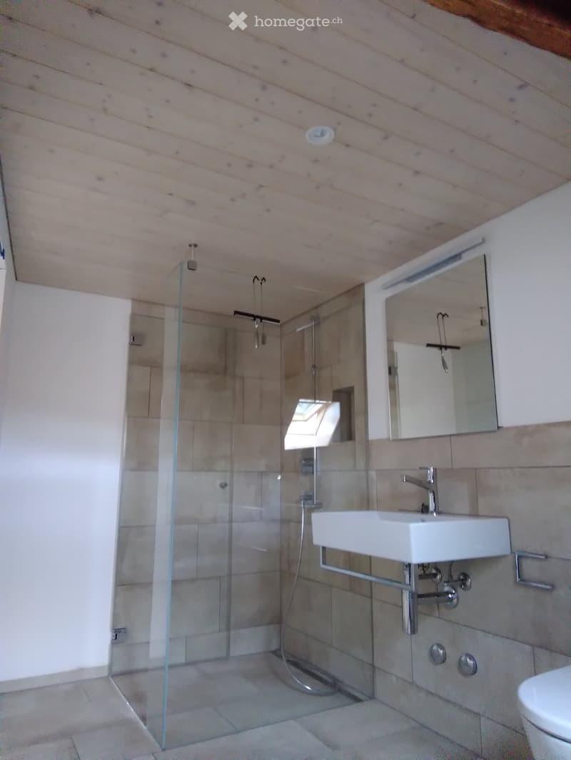 Modern bathroom with a glass-enclosed shower, white sink, mirror, and toilet. The walls and floor are tiled in neutral tones, and the ceiling has wooden paneling.