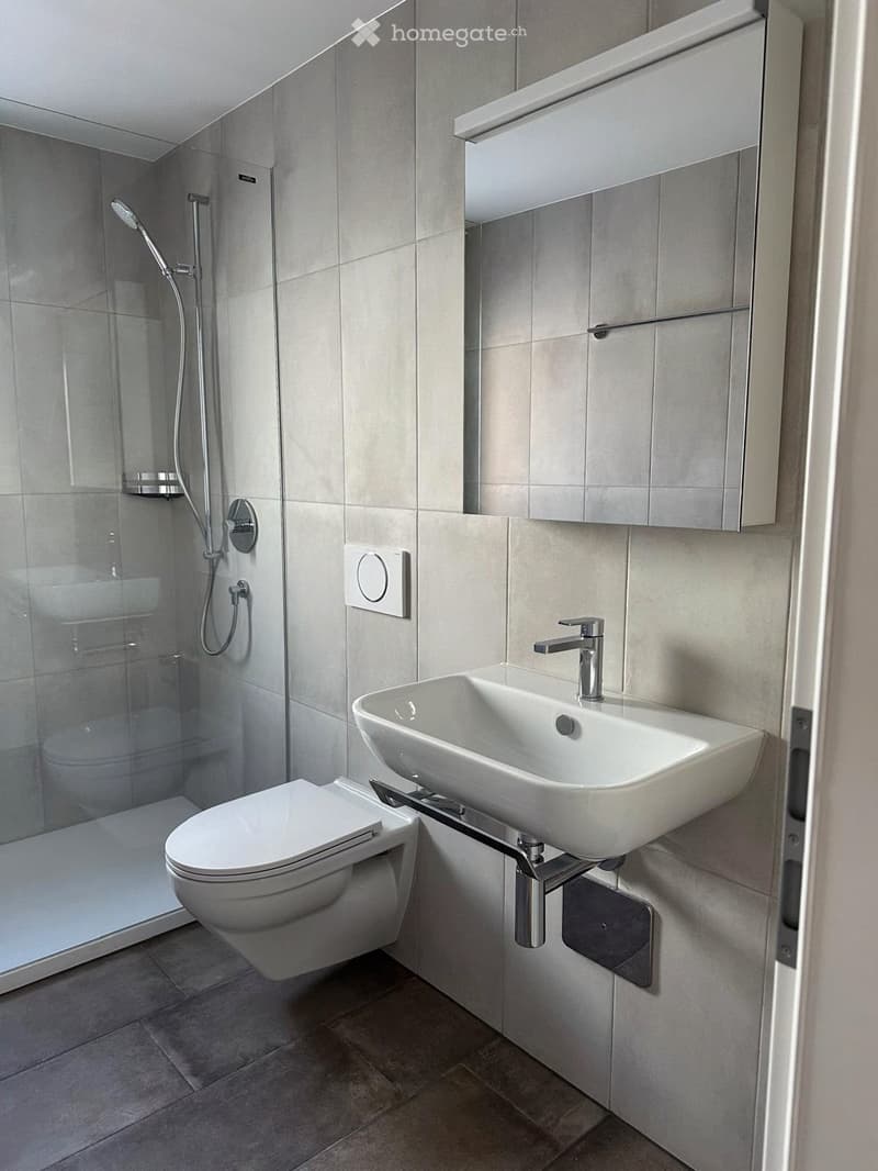 Modern bathroom with a toilet, sink, and shower area. Features a sleek, wall-mounted sink with a modern faucet, a glass-enclosed shower, and a large mirror above the sink.