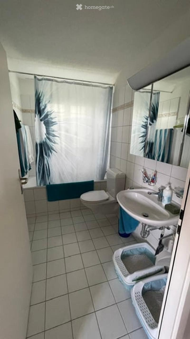 Small bathroom with white tiled walls and floor, a toilet, a sink with a mirror, a shower curtain, and two cat litter boxes.