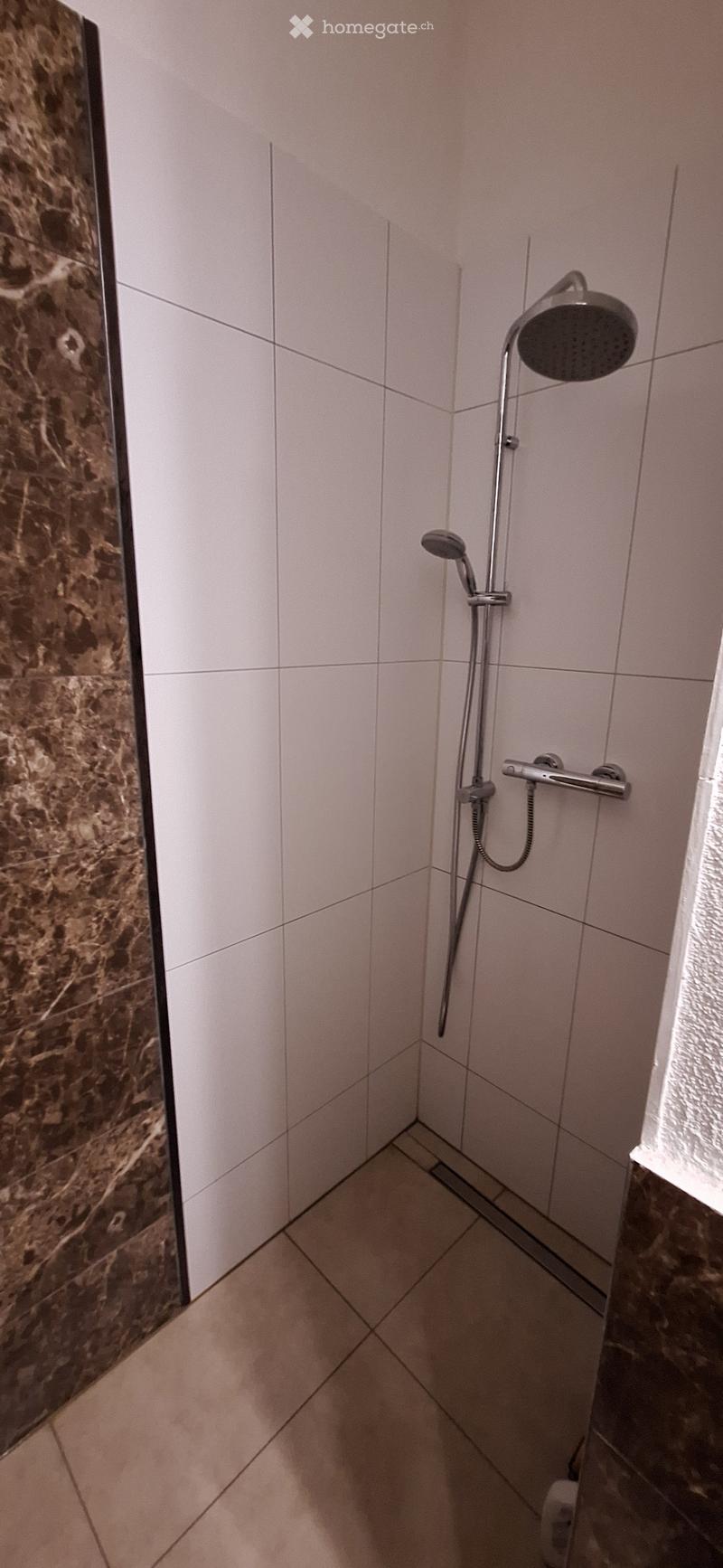 Modern shower area with white tiled walls and a marble accent wall, featuring a handheld showerhead and a fixed showerhead on a rail.