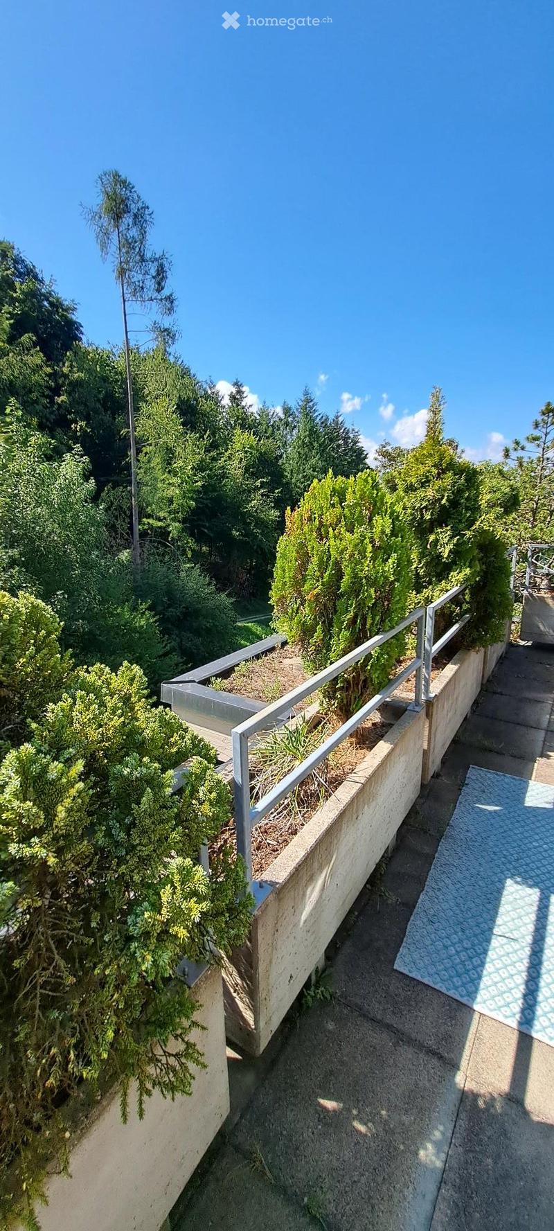 Balcony with metal railing, concrete planters, and lush greenery, overlooking a tree-filled garden area.