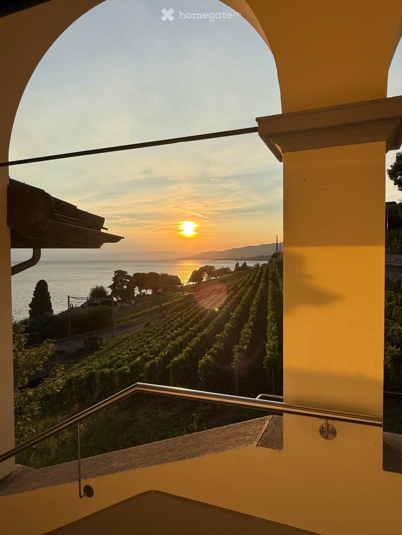 Stunning 2.5-Room Apartment with Breathtaking Views in Veytaux (1)