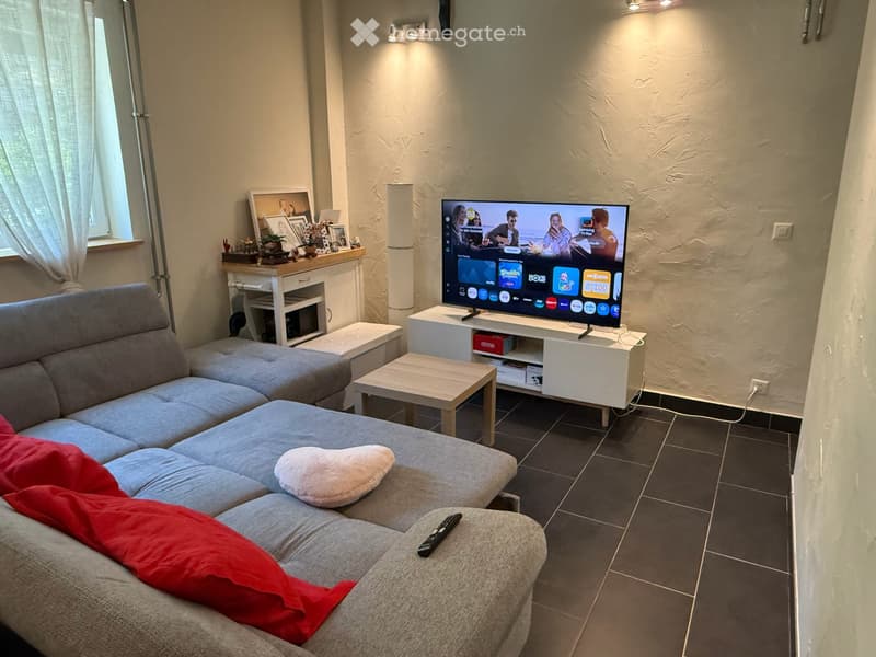 Stunning 2.5-Room Apartment with Breathtaking Views in Veytaux (5)