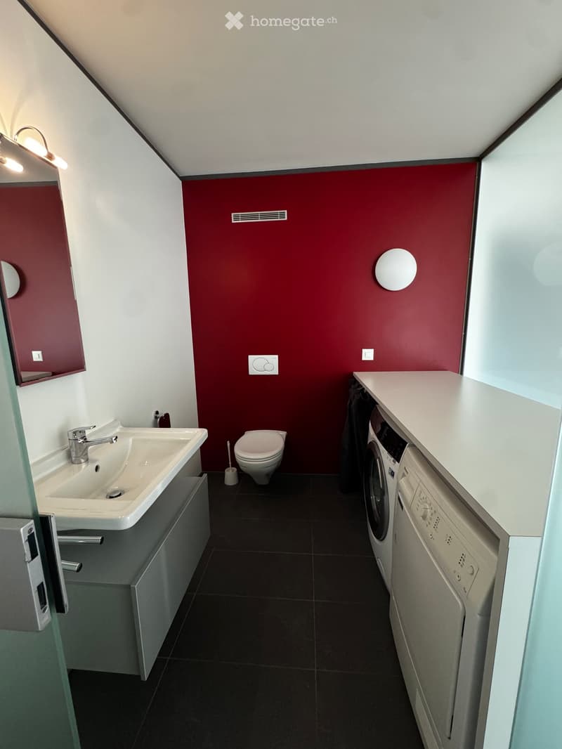 Modern bathroom with a red accent wall, white sink, chrome faucet, toilet, and built-in washing machine and dishwasher. Features a large mirror and sleek lighting.