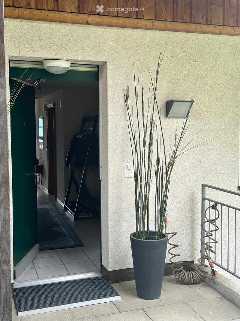 Outdoor area with a large potted plant, a doormat, and a coiled hose near a metal railing.