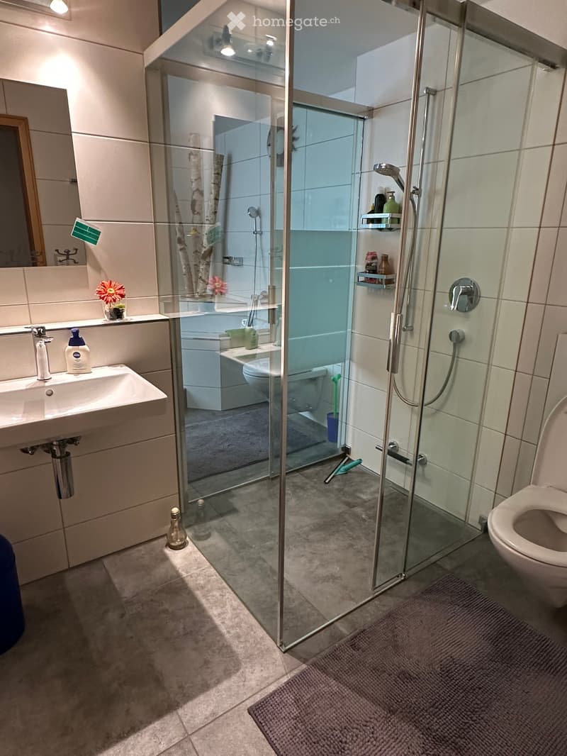 Modern bathroom with a glass-enclosed shower, bathtub, toilet, sink, and decorative flowers on the counter.