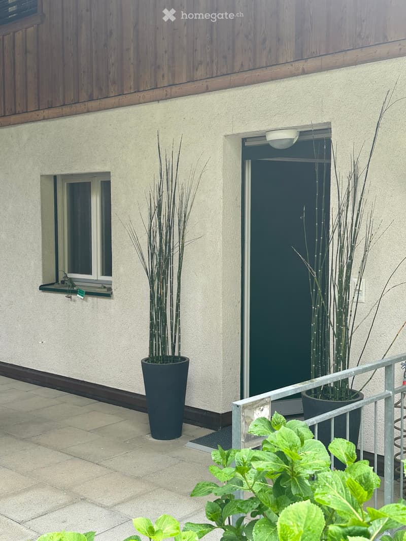 Balcony area with a door, two tall potted plants, a small window with a shelf, and a railing.