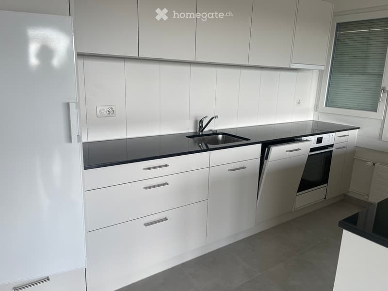 Modern kitchen with white cabinets, black countertops, stainless steel sink, and built-in appliances including a refrigerator, oven, and dishwasher.