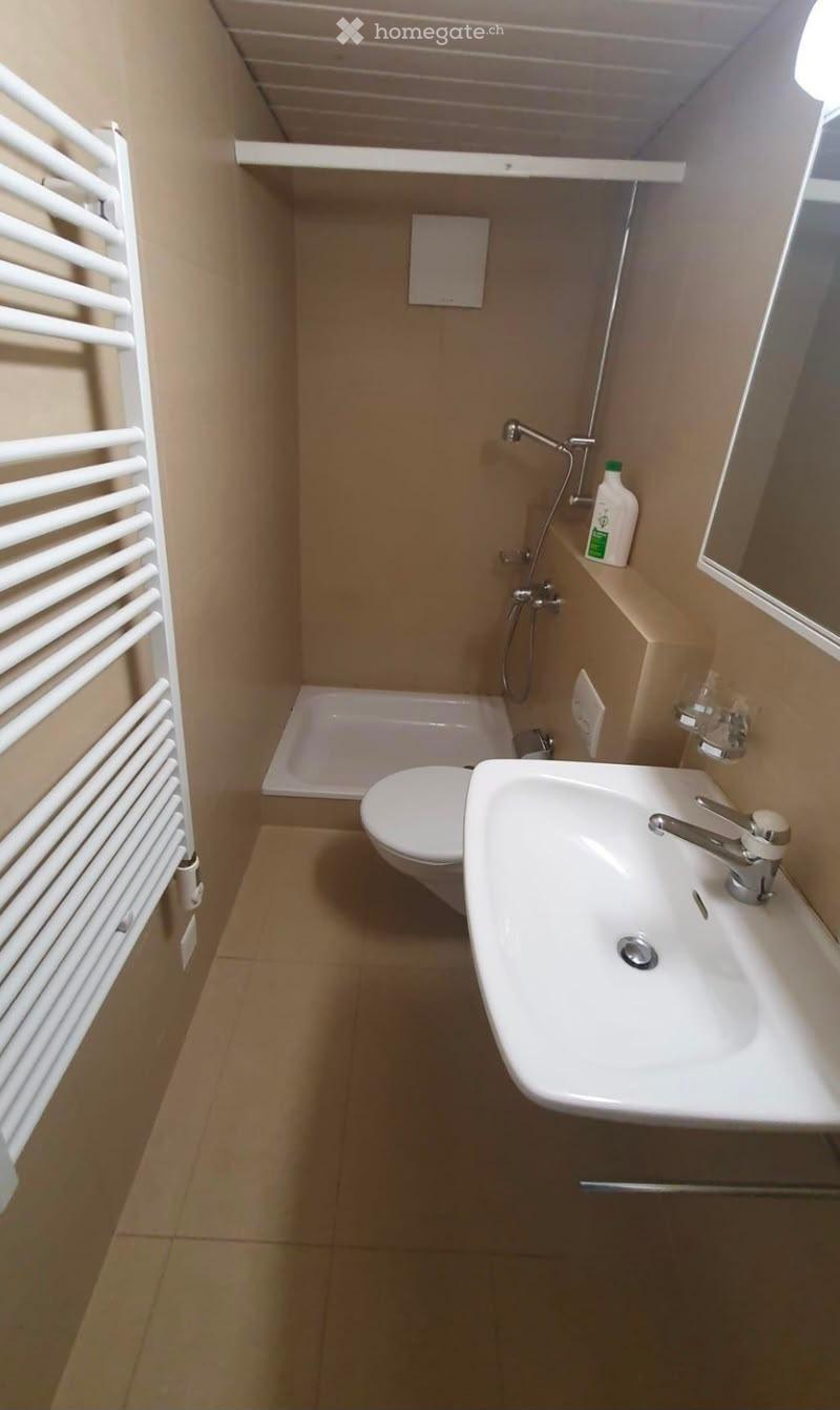 Compact bathroom with a white sink, toilet, bathtub, and showerhead. A white radiator is mounted on the wall, and a bottle is placed on the sink counter.