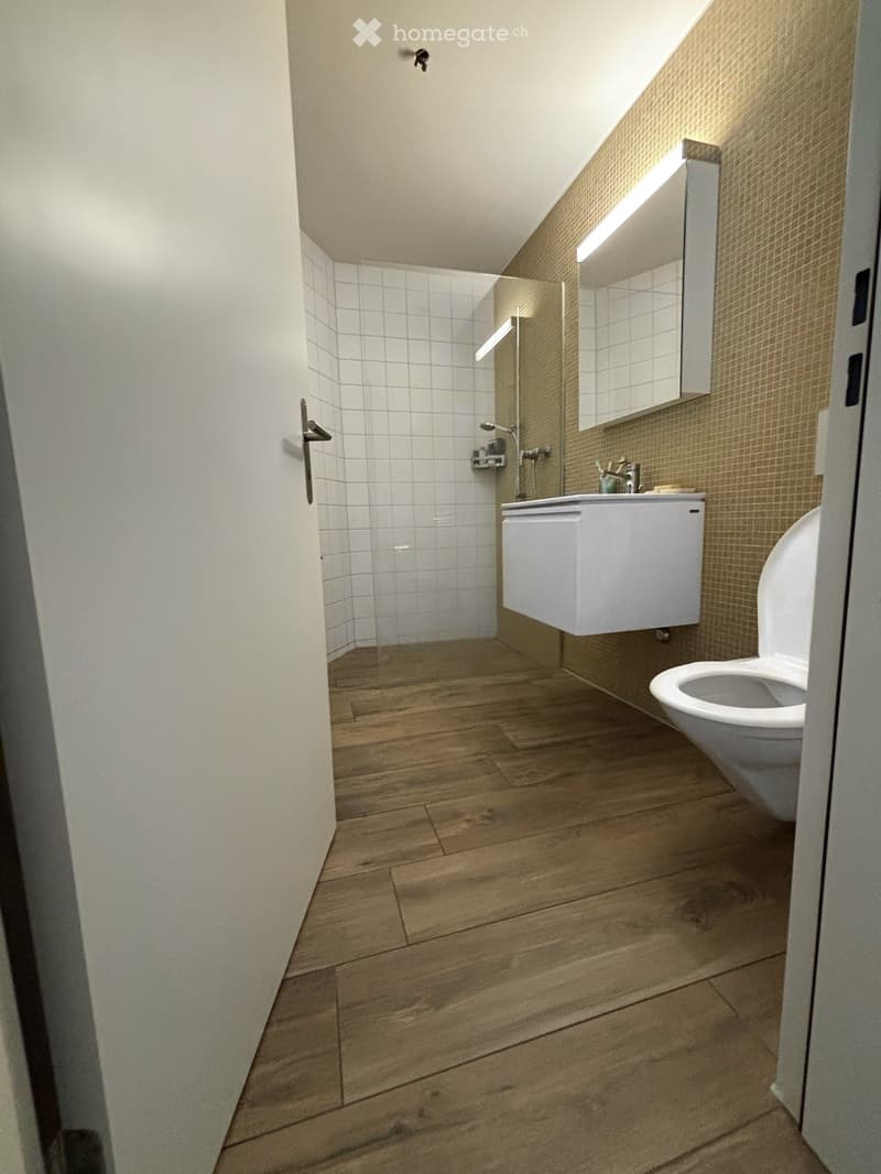 Modern bathroom with wooden flooring, white tiled shower area, white sink, and toilet.