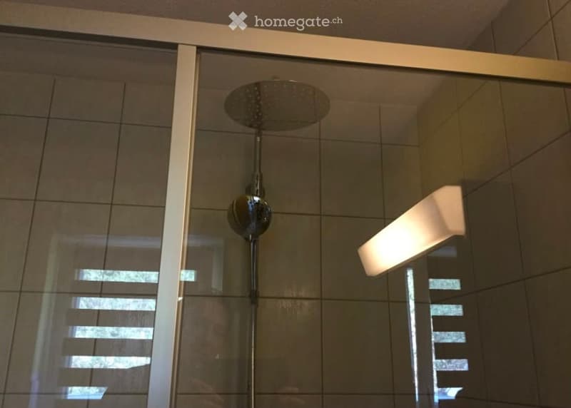 Modern bathroom with a glass-enclosed shower area, featuring a sleek showerhead, a chrome faucet, and a built-in light fixture on the wall.