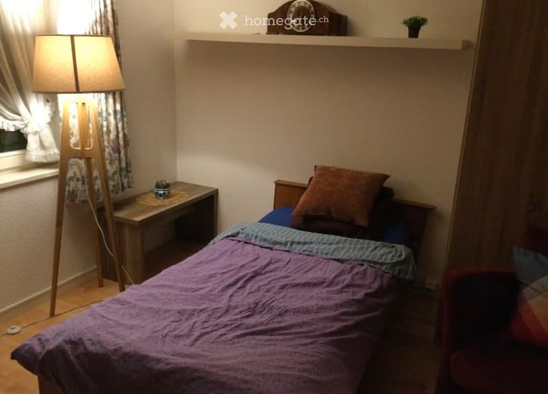 Cozy bedroom with a single bed, nightstand, chair, table lamp, shelf with clock and plant, and a small wooden desk with a lamp.