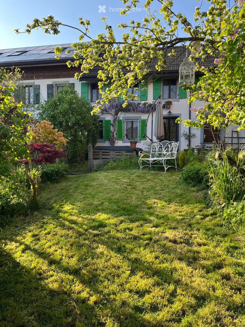 A well-maintained garden with a white metal bench, lush greenery, flowering trees, and a house with green shutters in the background.