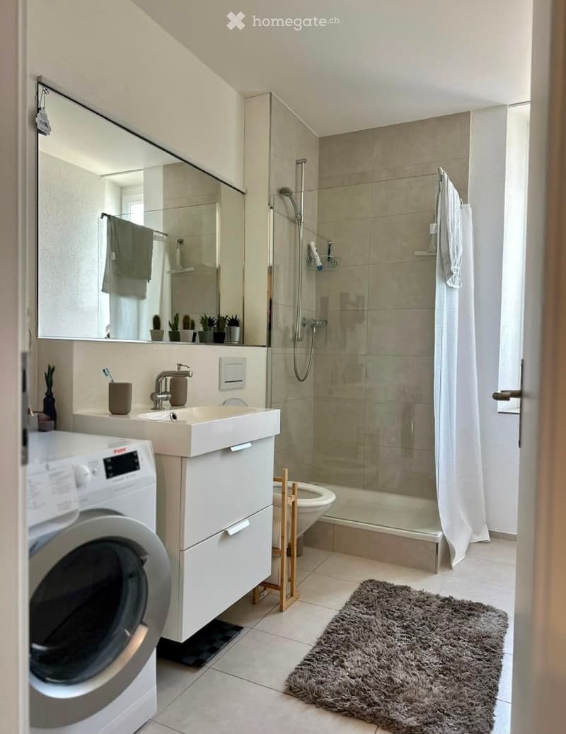 Modern bathroom with a white sink, mirror, shower, washing machine, and a grey rug on the floor.