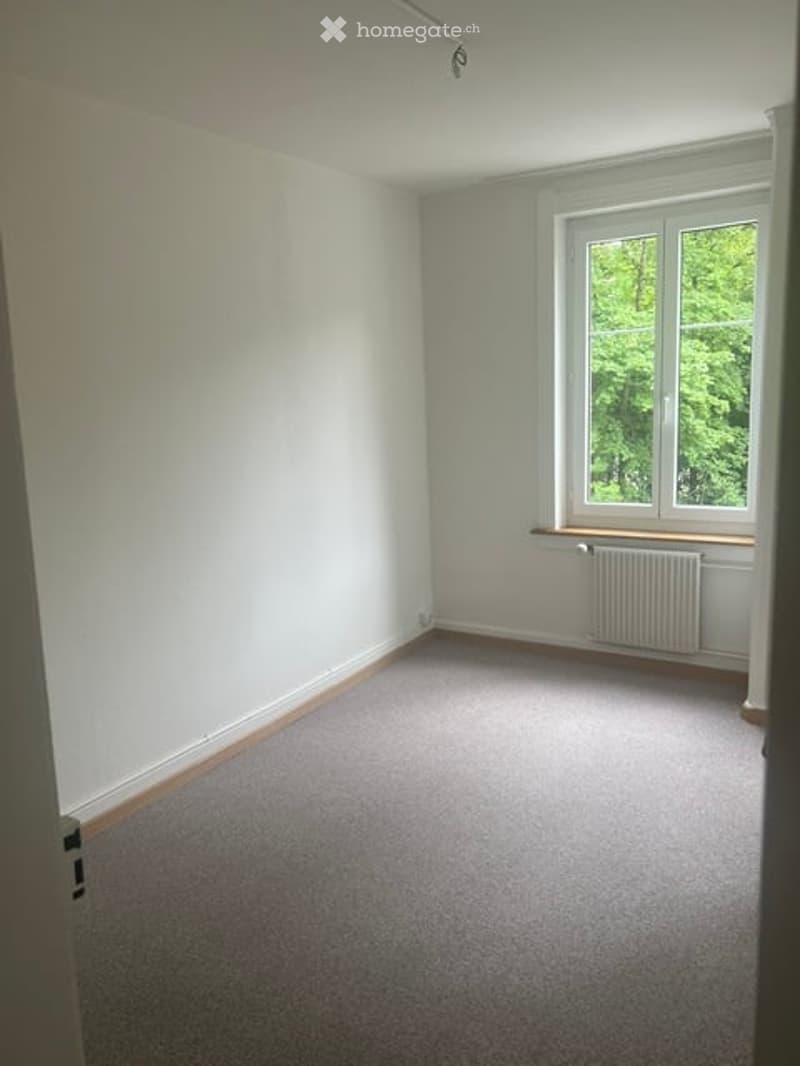 Empty room with light grey carpet, white walls, and a window with a radiator below it.