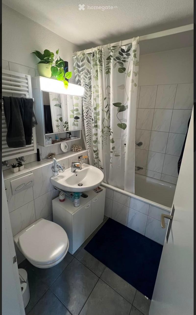 Modern bathroom with a white sink, toilet, mirror, and shower curtain. Includes a small cabinet, a plant on the windowsill, and a towel on the rack.