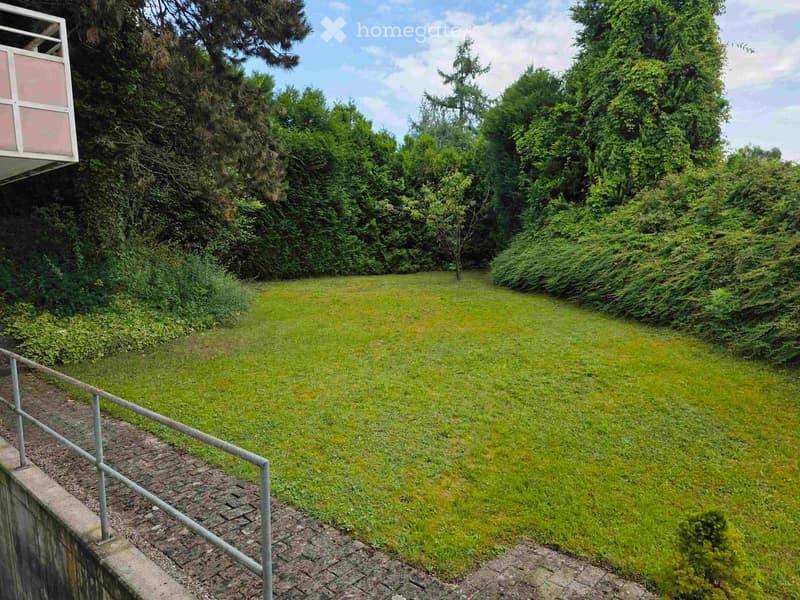 {"visible_features":[],"type":"Outdoor area","description":"The image shows a large, grassy outdoor area surrounded by lush, green trees and vegetation. The ground is covered in a well-maintained lawn, and there is a paved walkway or path visible in the f