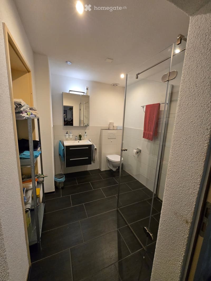 Modern bathroom with dark tiled floor, white walls, sink with mirror, toilet, glass-enclosed shower, and a red towel hanging on the side.