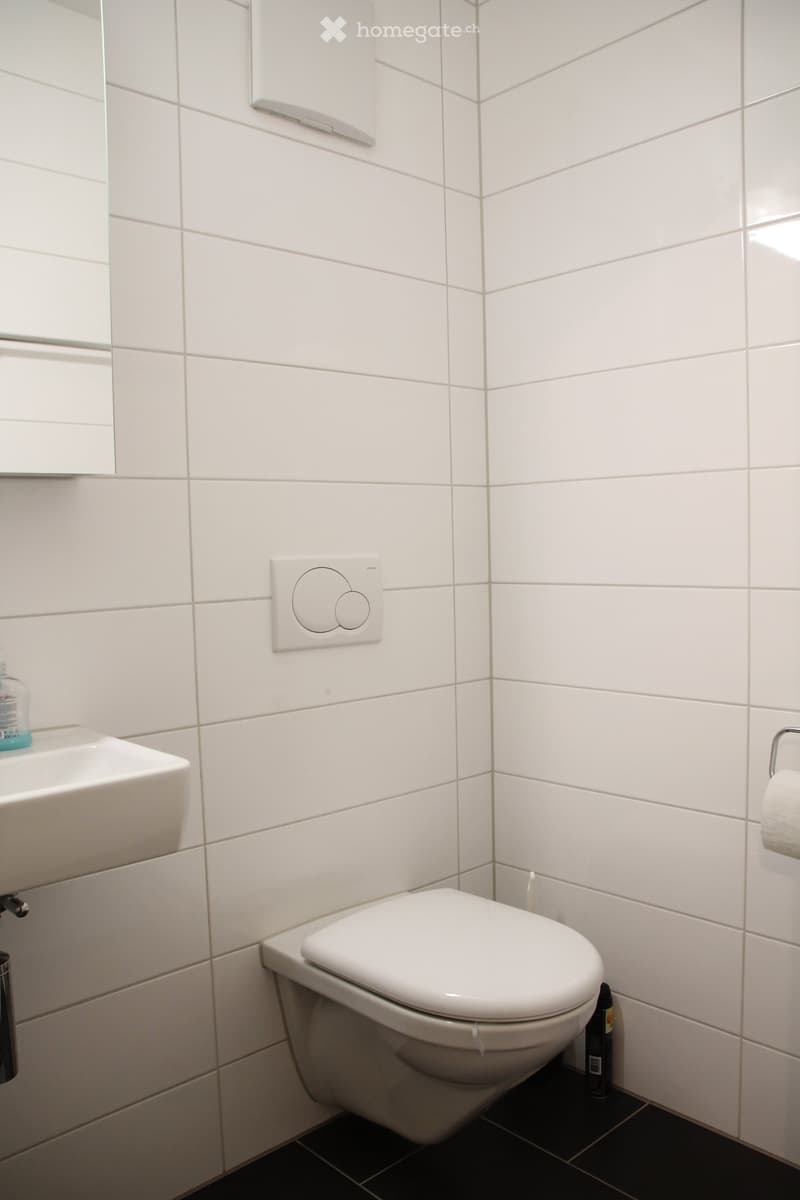 Modern bathroom with white tiled walls, a toilet, a sink, a mirror, and a toilet paper holder.
