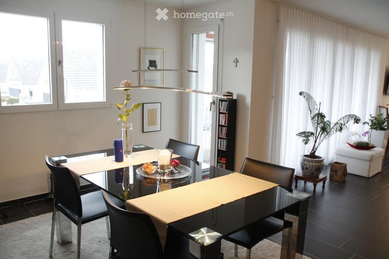 Modern dining area with a glass table, black chairs, a potted plant, a bookcase, and a small sofa with a decorative pillow.